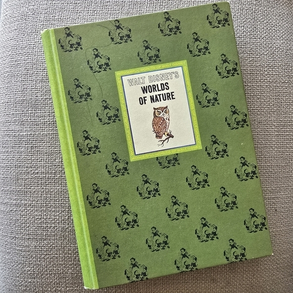 Disney Other - Walt Disney's Books "STORIES FROM OTHER LANDS" "WORLDS OF NATURE" 1965